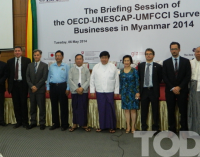 Survey on Businesses in Myanmar 2014 elaborated