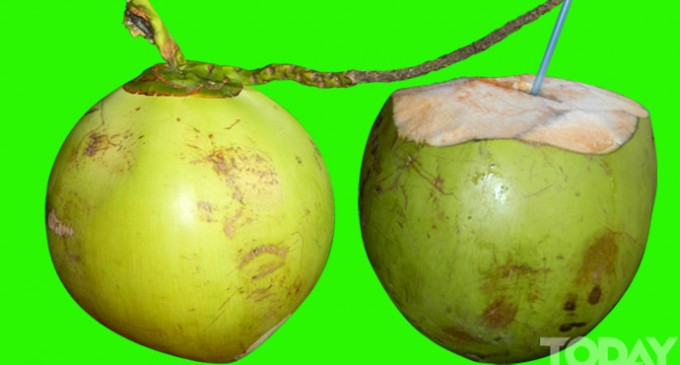 Flora in Myanmar Culture: COCONUT