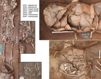 Local, Bronze age, Iron age and  Dr.Thomas Oliver Pryce